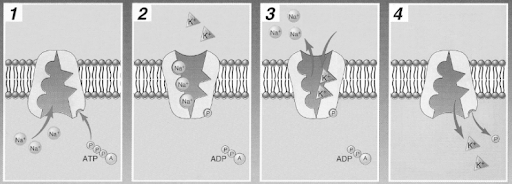 Solution Image