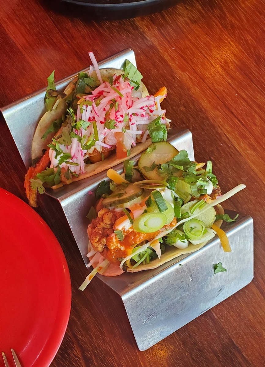 Sweet potato & halloumi taco and mole chicken taco