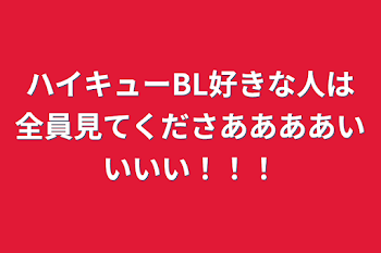 ハイキューBL好きな人は全員見てくださああああいいいい！！！