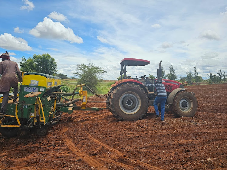 President William Ruto working at his Koelel Farm in Uasin Gishu County in April 7, 2024.