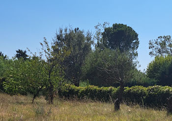 terrain à Pernes-les-Fontaines (84)