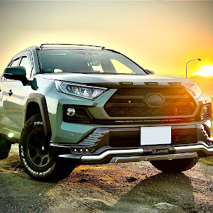 RAV4 MXAA54