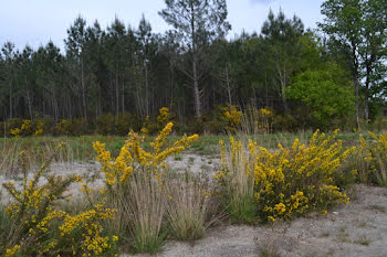 terrain à Mios (33)