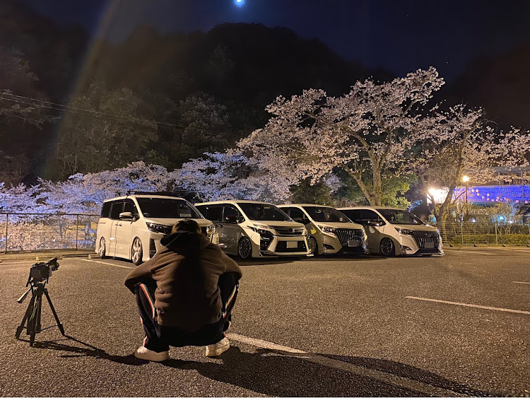 ヴォクシーの桜・桜コラボ・桜シリーズ・桜、サクラ、Sakura🌸・桜が散る前にに関するカスタム事例の投稿画像4枚目