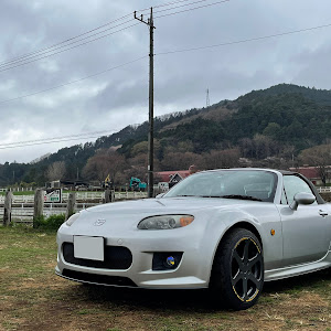 ロードスター NCEC