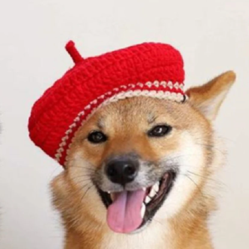 Uroczy, mały beret DIY, robiony na drutach w mieszanych kolorach dla zwierząt domowych, dodający uroku i ciepła Twojemu pupilowi.