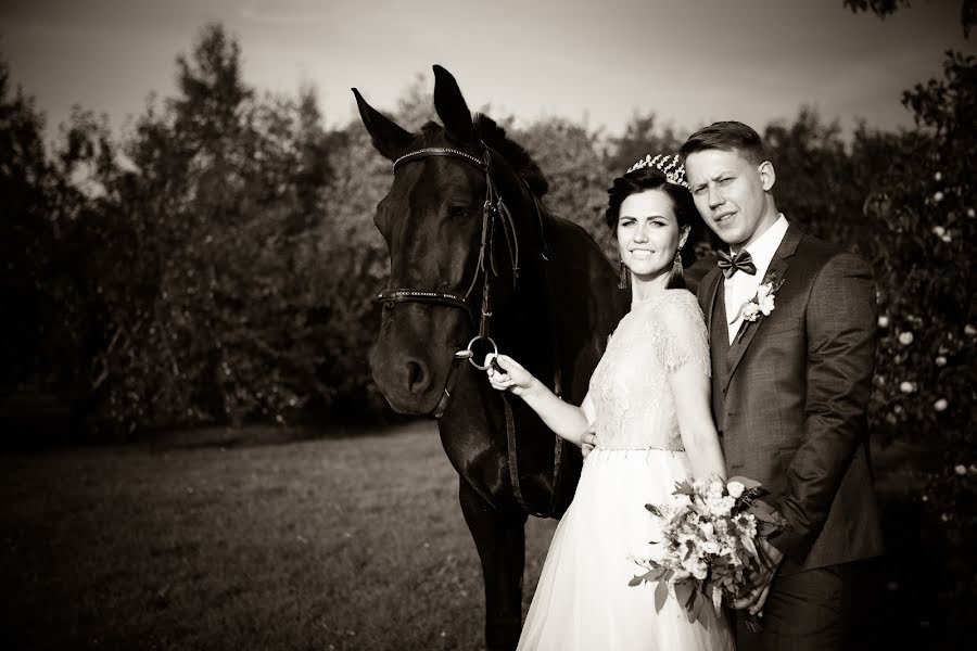 Photographe de mariage Aleksandr Timofeev (artalext). Photo du 7 février 2020