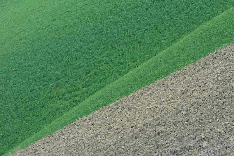 diagonale di ruggeri alessandro