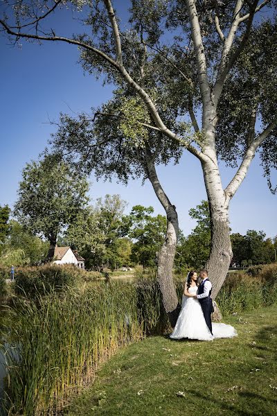 Wedding photographer Péter Szúdy (peterszudy). Photo of 28 September 2022