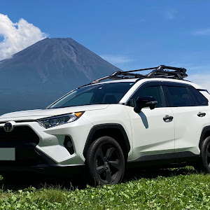 RAV4 MXAA52