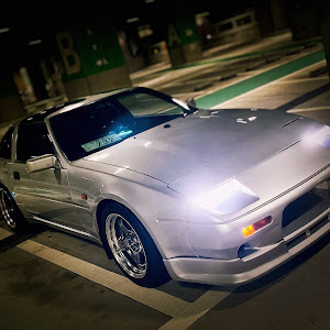 フェアレディZ HGZ31