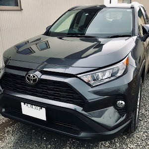 RAV4 MXAA54