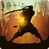 Shadow Fight 21.9.37