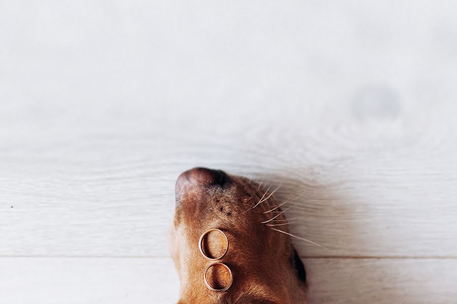 Photographe de mariage Evgeniya Sova (pushistayasova). Photo du 7 octobre 2018