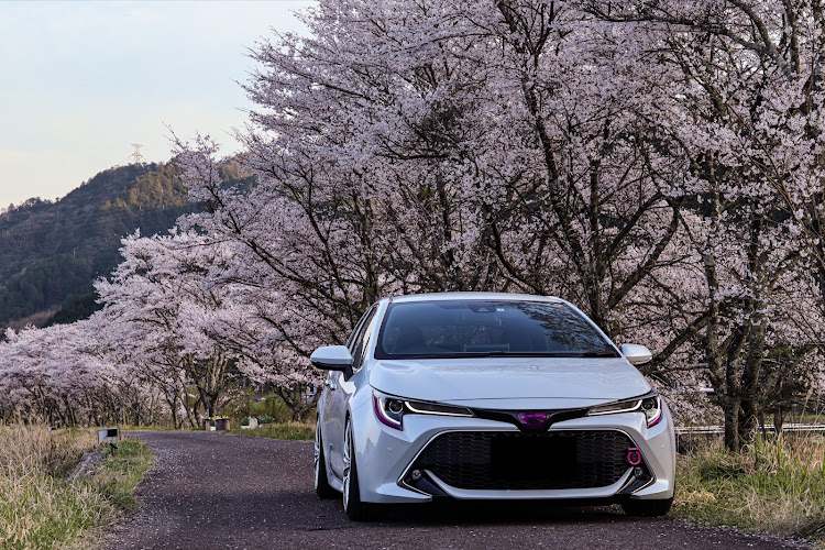 カローラスポーツのいつもイイネ&コメントありがとうございます🙇‍♂️・サクラと愛車・夜桜お七🌸*･・今週もお疲れ様でしたに関するカスタム事例の投稿画像15枚目