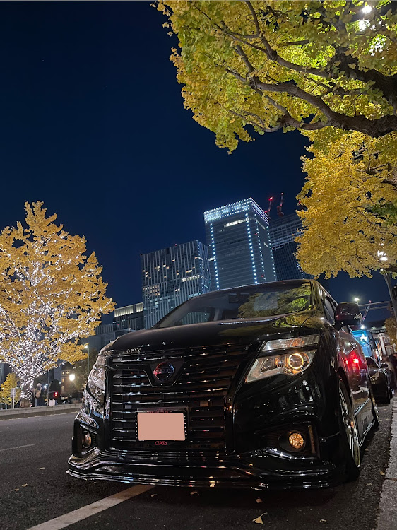 エルグランドの運が良いと見える模様・グラインダータトゥー・AVANZARE・今年1年ありがとうございました・来年もよろしくお願いしますに関するカスタム事例の投稿画像1枚目
