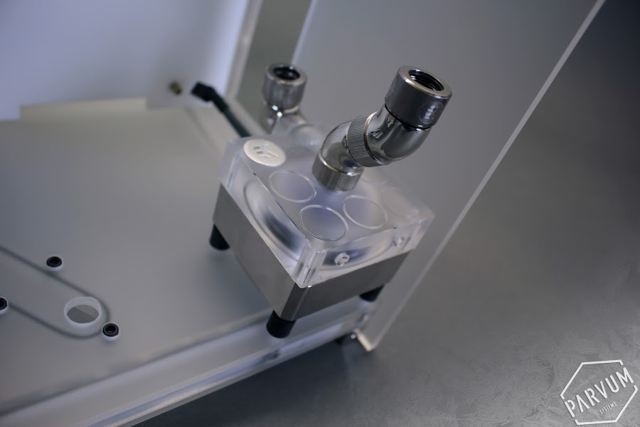 XJA8Ktzd4U_SPcafhan6g2x7oaU7uYr2kZXF6WRz8Owd=w900