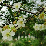 官邸花園餐廳