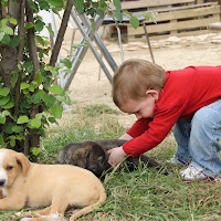 TRE cuccioli. di 