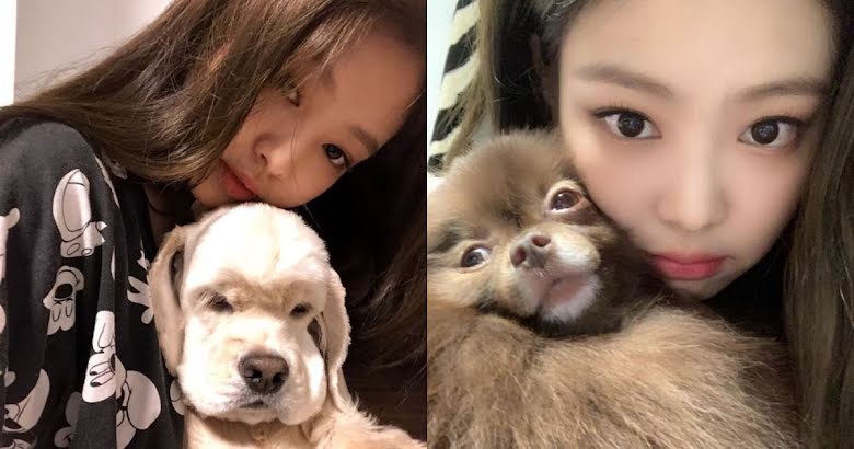 BLACKPINK's Jennie Looks Adorable And At Peace With Her Dogs