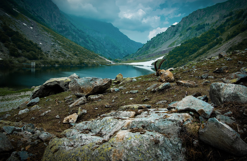 Rifugio Genova Figari - Entracque CN di simonecurtiph