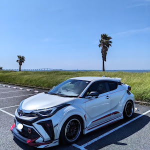 C-HR NGX10