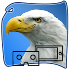 eagle SURVIVAL vr SIM 111159999711597997931