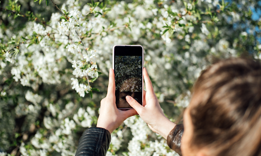 スマホで撮影！ 撮りたい写真に合わせて画角を選ぼう