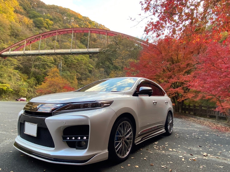 ハリアーの紅葉ドライブ・#elford_japan・#BBS・sunyard・ハリアー60系後期に関するカスタム事例の投稿画像1枚目