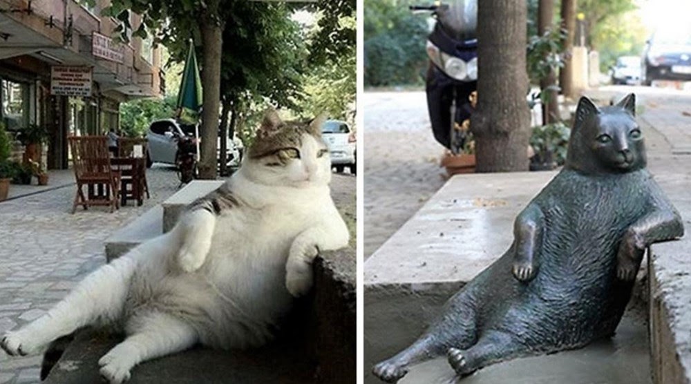 Tombili, o gato de Istambul que virou meme ganhou uma estátua