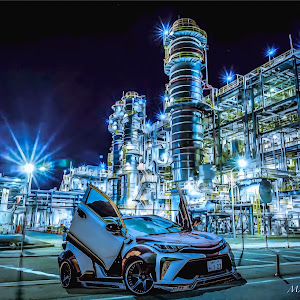 C-HR ZYX11