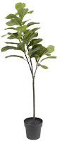 Kunstig plante Fiolinfiken, H140cm (Org.nr.HP26423581)