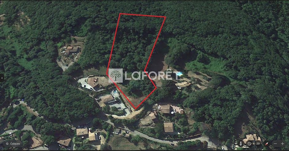 Vente terrain  8160 m² à Cauro (20117), 270 000 €