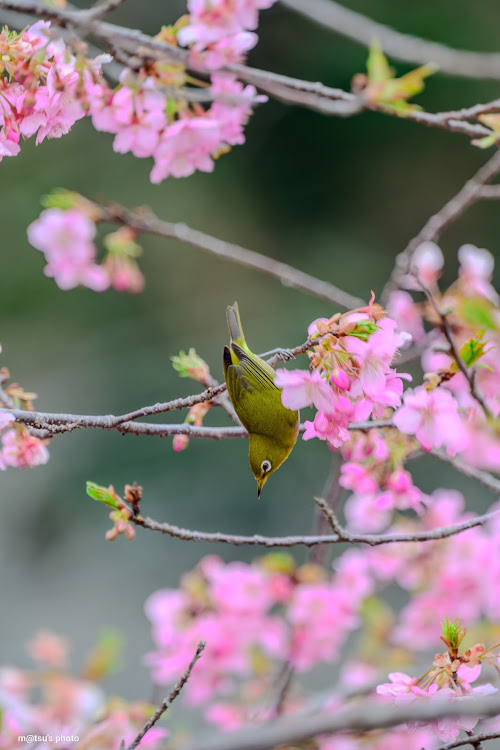 の投稿画像5枚目