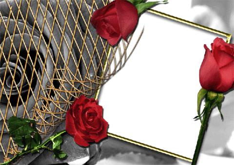 Romantic Photo Frame Maker