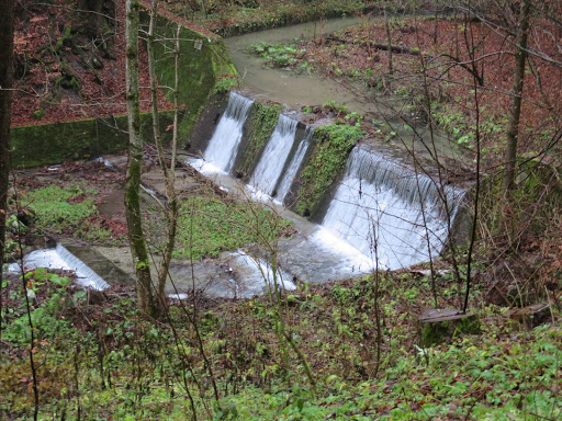 Bucharesti România 2016