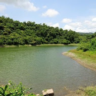 太陽湖畔咖啡館