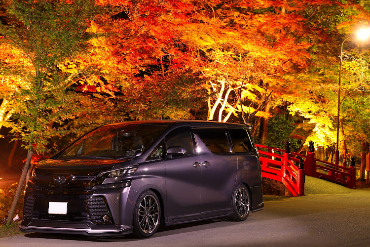 ヴェルファイアの2021ベストショット・連投すいません🙏・紅葉と愛車・道草・11月にエントリーしますに関するカスタム事例の投稿画像1枚目