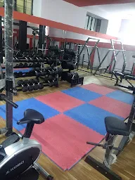 Armour Kingdom Gym photo 1