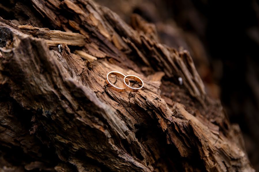 Fotografo di matrimoni Alisa Kotanova (kotanova). Foto del 25 ottobre 2018