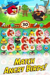   Angry Birds Fight! RPG Puzzle- screenshot thumbnail   