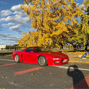 NSX NA1