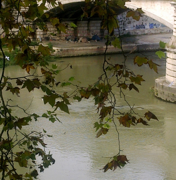 Come le foglie d'autunno di Francesca Boschetti