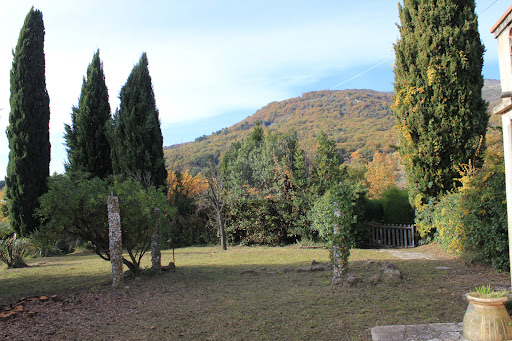 House with garden 3