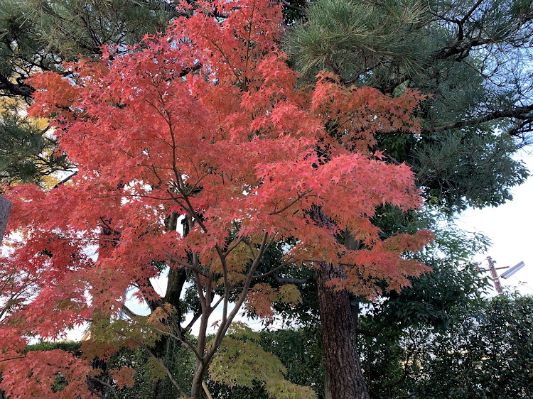 の投稿画像10枚目