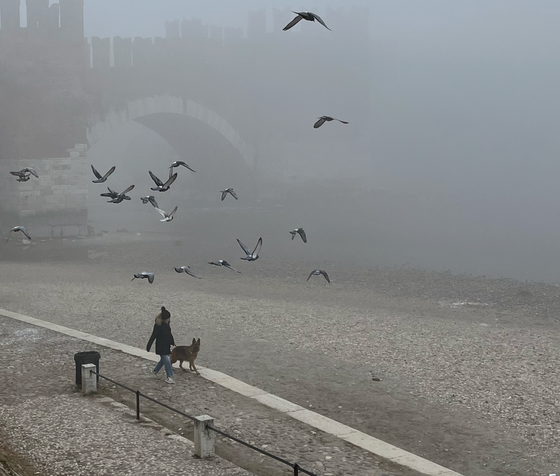 nella nebbia in compagnia di elisabetta_de_carli