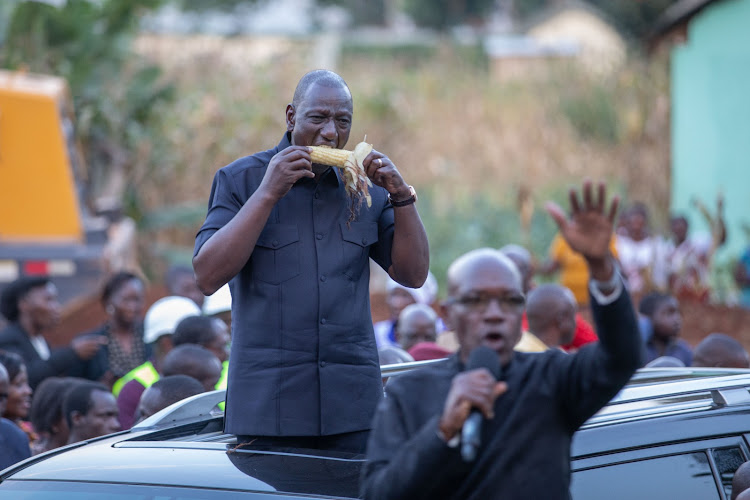 President William Ruto eating mazie during a county tour in Kakamega on August 26, 2023.