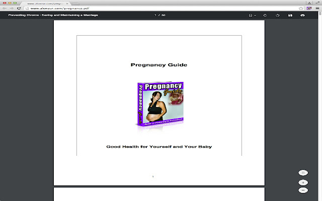 Pregnancy Guide