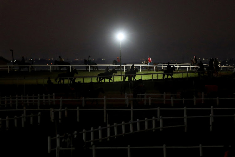 Horse trainer Michael Roberts,69, wakes up at dawn with other trainers to prepare their horses for the Hollywoodbets Durban July.