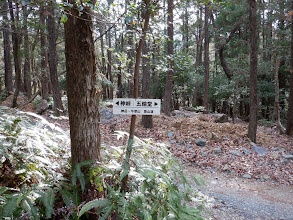 分岐に標識